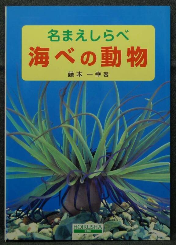 【超希少】【美品】古本　名まえしらべ　海べの動物　著者：藤本一幸　(株)保育社