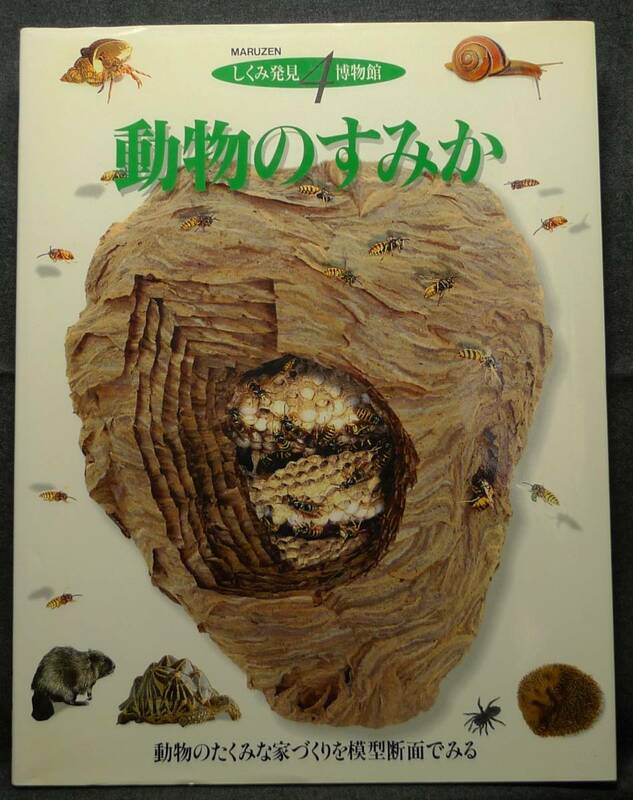 【超希少】【美品】古本　動物のすみか　しくみ発見博物館４　動物のたくみな家づくりを模型断面でみる　監修：武田正倫　丸善(株)