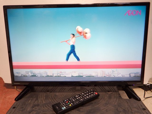 ドウシシャ 24インチ 液晶テレビ DOL24H100 2018年製 外付けHDD録画対応 リモコンあり■24V型 動作OK