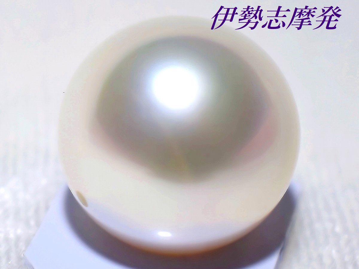 ◆伊勢志摩発◇ 稀少！圧倒的な存在感！華やかさに溢れる大粒１５㎜ 白蝶ナチュラル片穴 一期一会の真珠です！/88