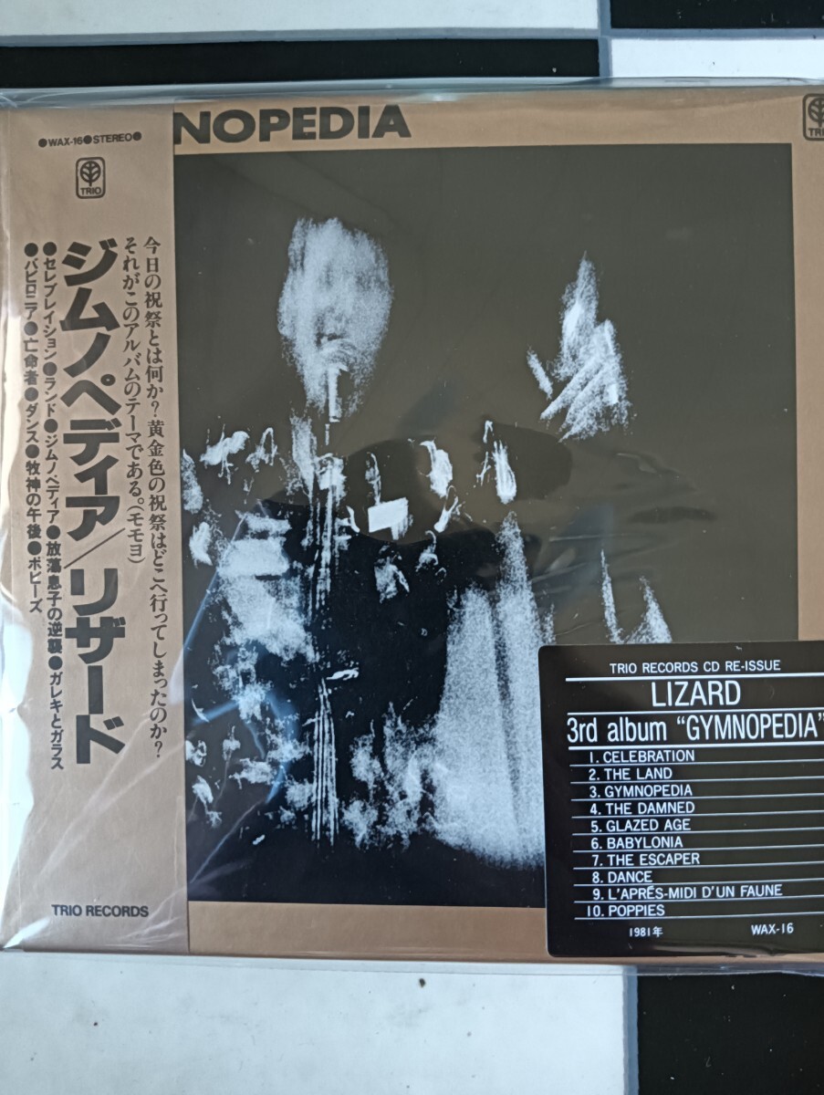 LIZARD ジムノペディア　リザード　帯付き