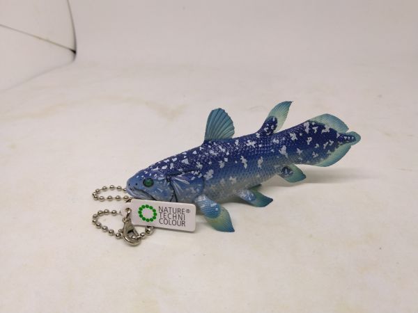 ネイチャーテクニカラー深海生物 シーラカンス