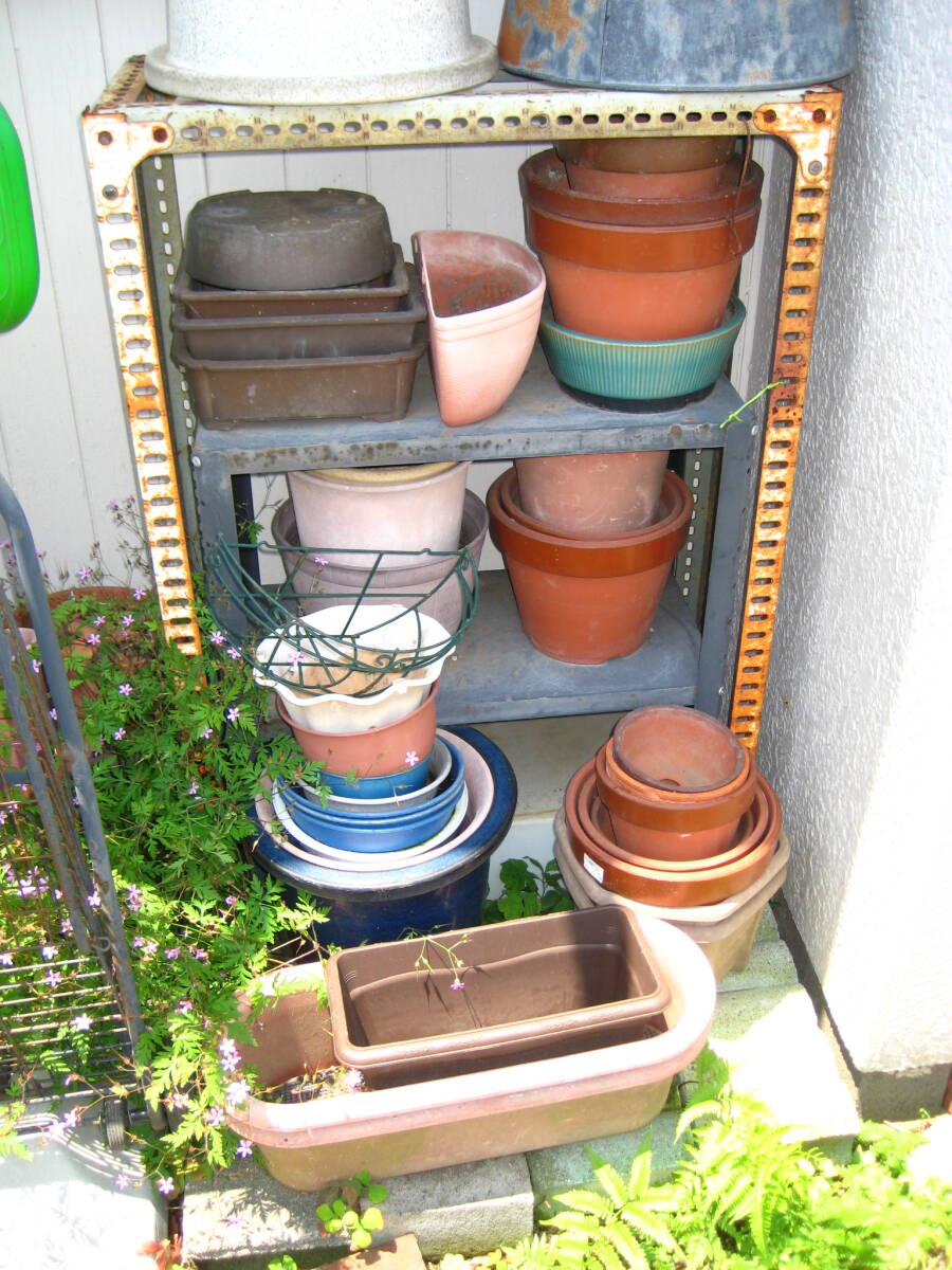 ＊植木鉢＊大小各種50以上＊引取り限定＊無料＊現状中古出品＊ジャンク＊園芸用品おまけ付＊