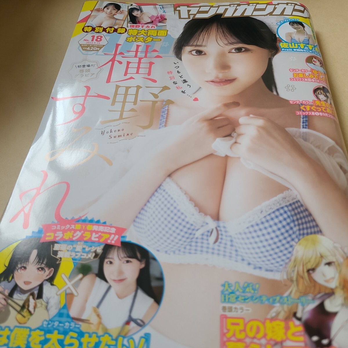 ヤングガンガン2023No.18 横野すみれ 佐山すずか