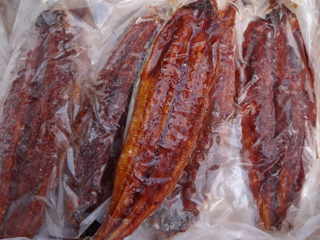 ☆大人気*　うなぎ蒲焼き　大サイズ　１５尾　　合計５キロ　冷凍