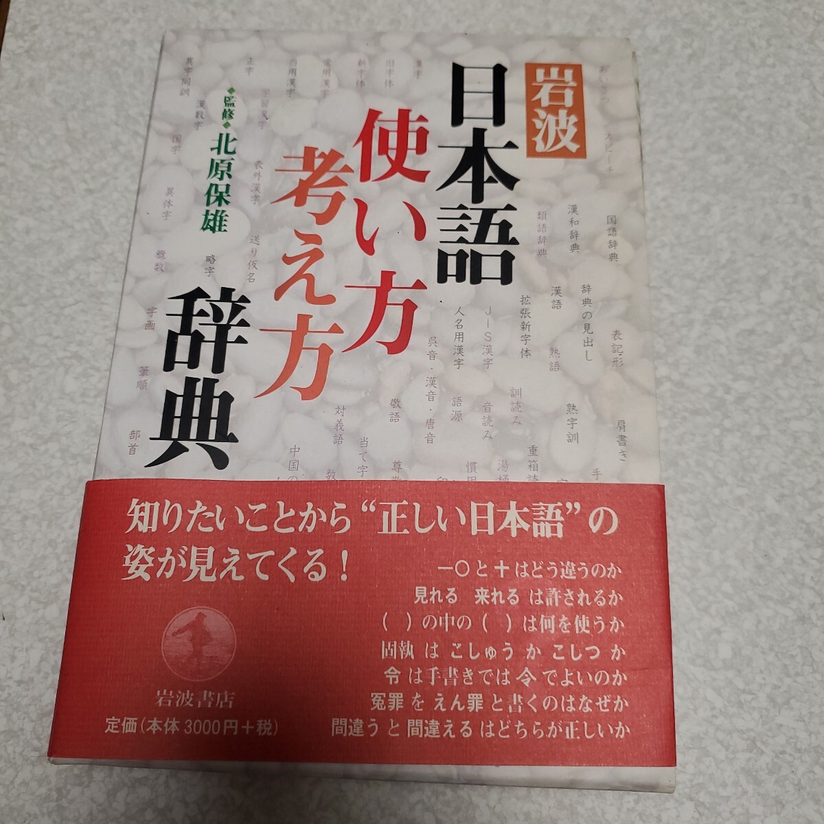 岩波日本語使い方考え方辞典 北原保雄／監修