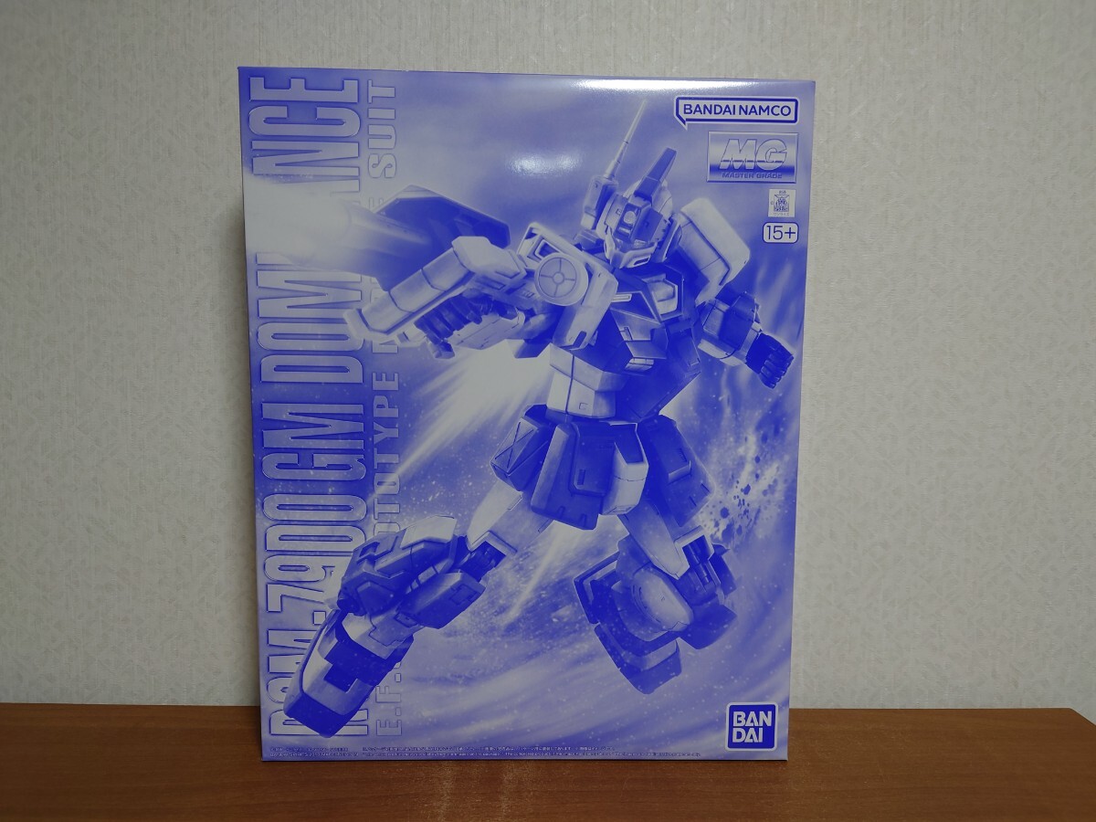 新品 未開封 未組立 MG 1/100 ジム・ドミナンス 機動戦士ガンダム外伝 THE BLUE DESTINY プレミアムバンダイ限定