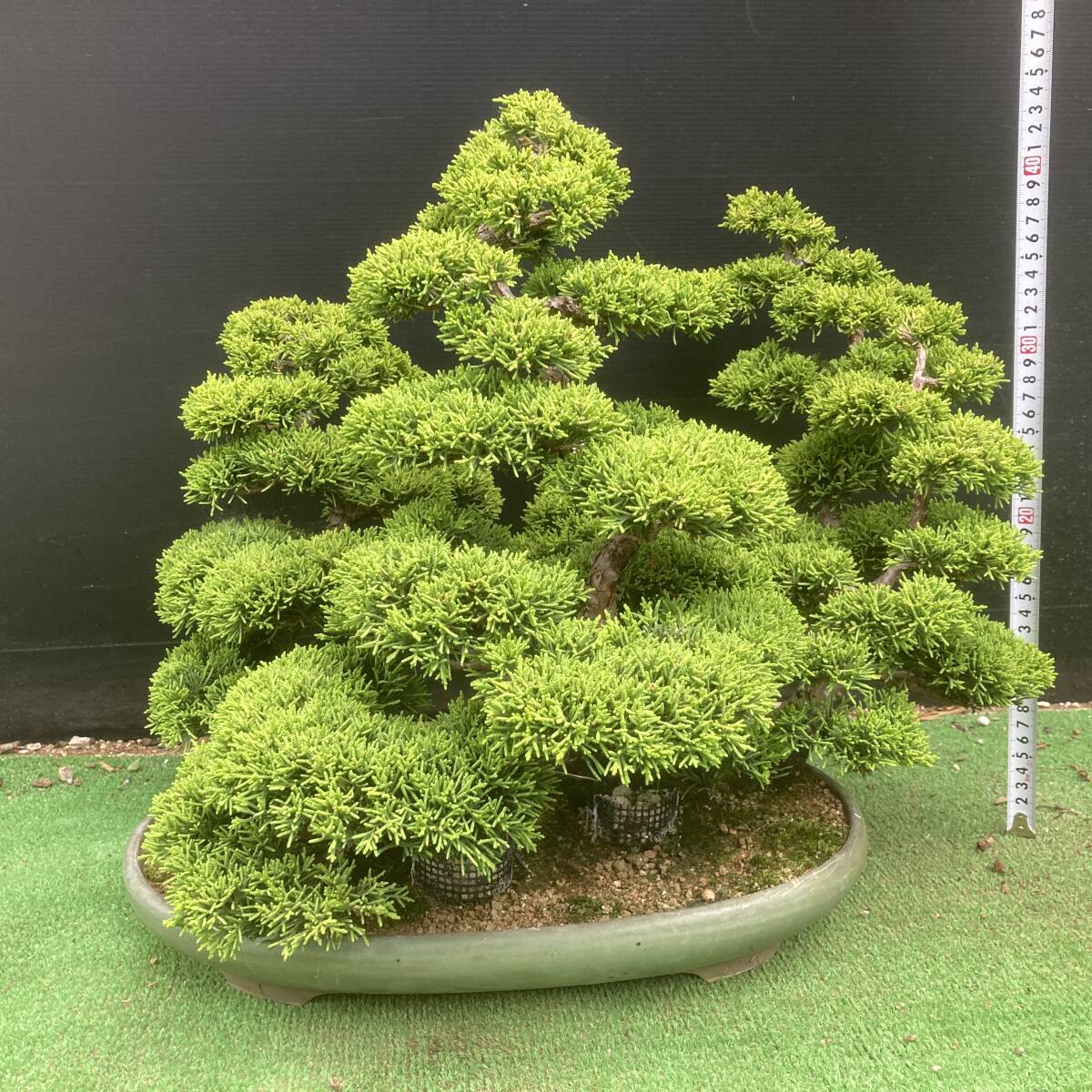 {$data['title']拍卖