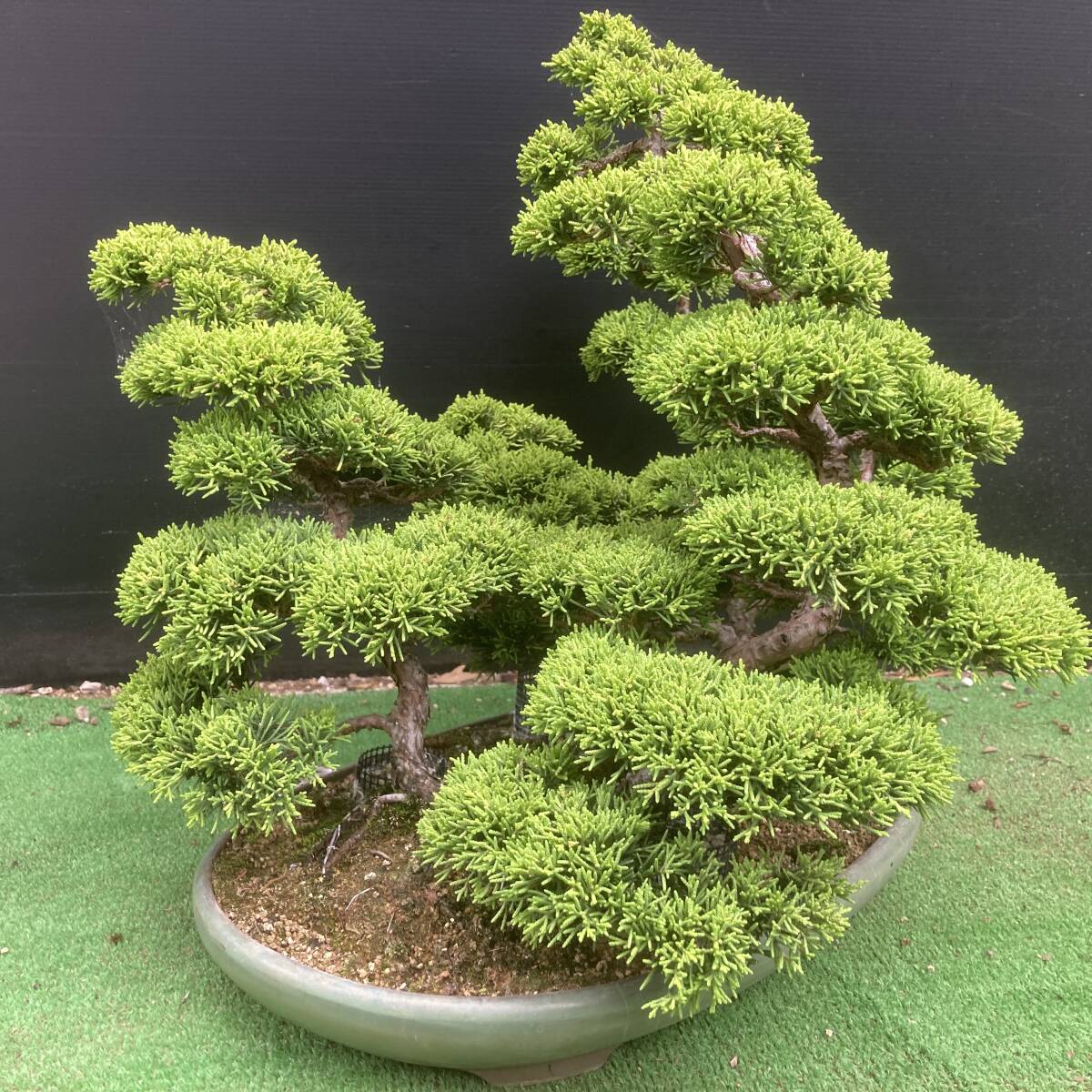 {$data['title']拍卖