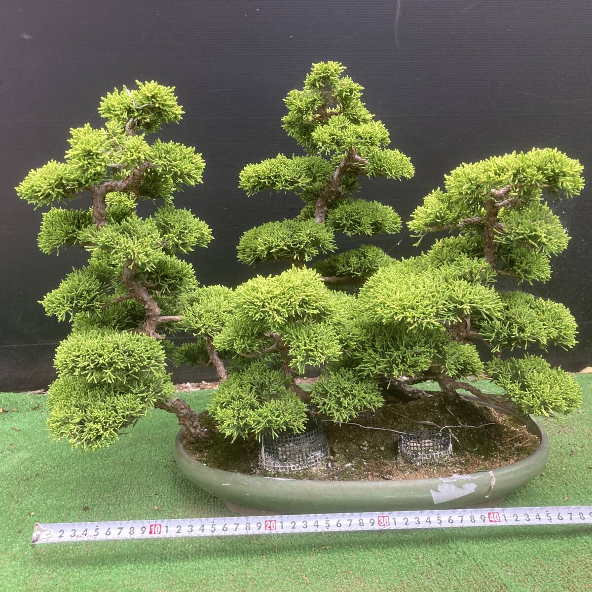 {$data['title']拍卖