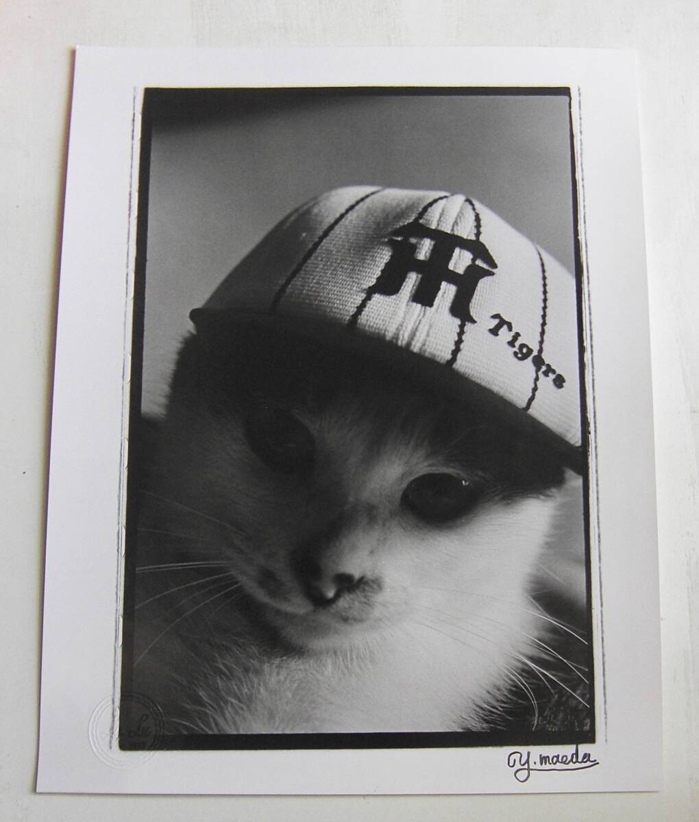 Y.MAEDA 前田義昭　阪神帽のスミ　オリジナルプリント(ゼラチンシルバー) サィズ・天地35.4㎝×27.9㎝ 即決