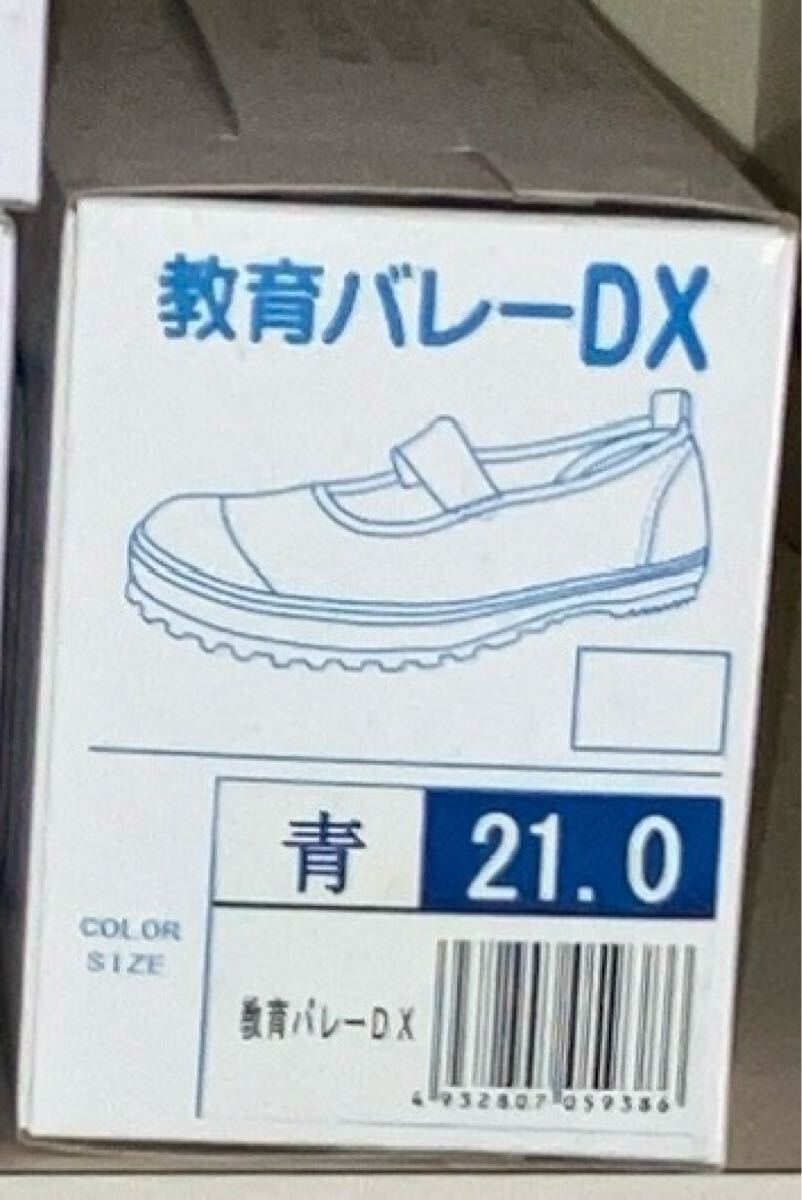 教育シューズ☆上履き バレーDX 21.0cm キッズ★ブルー未使用品★★