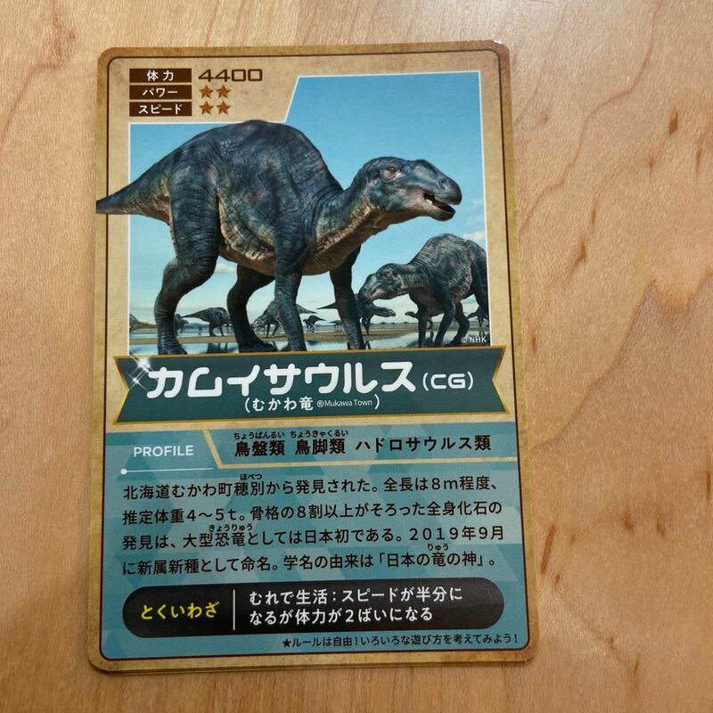 恐竜博　2019 カムイサウルス　むかわ竜　カード　非売品