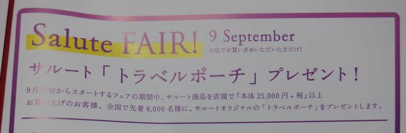 ◆ワコール◆高級ライン「サルート」◆ノベルティ◆トラベルポーチ◆フラットポーチ付き◆新品未使用◆Wacoal◆