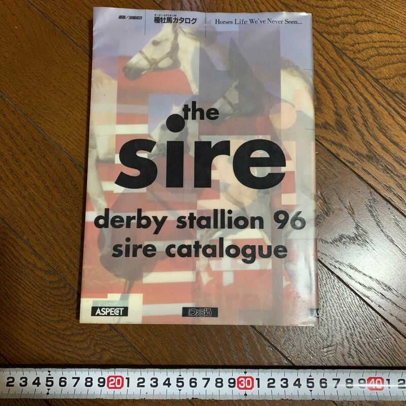 ★中古 スレ傷あり the Sire ダービースタリオン96 カタログ 攻略本★