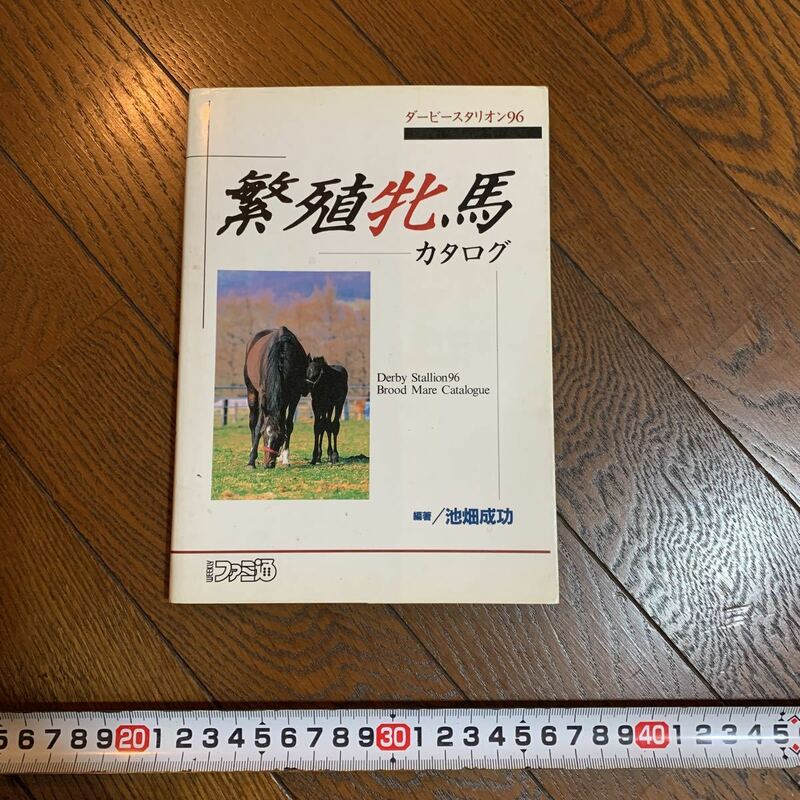 ★中古 スレ傷あり 繁殖牝馬 ダービースタリオン96 カタログ 攻略本 ファミ通 池畑成功★