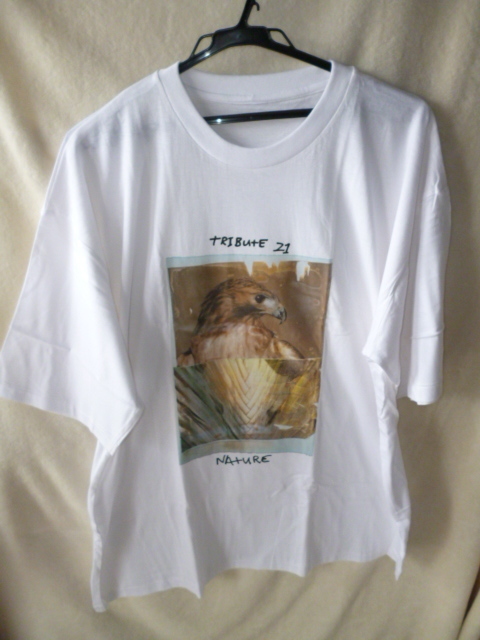 FELISSIMO　ロバートラウシェンバーグ　Tシャツ　TRIBUTE 21　アートTシャツ　90s　NATURE