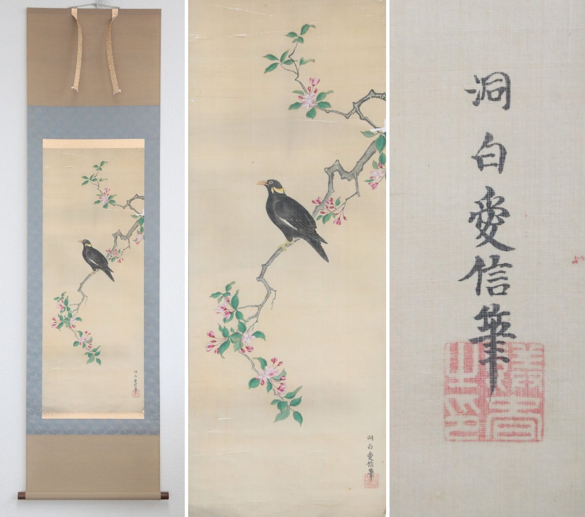 【模写】『狩野愛信』洞白 駿河台狩野家五代目「花鳥」絹本軸装　掛軸　書画　日本画