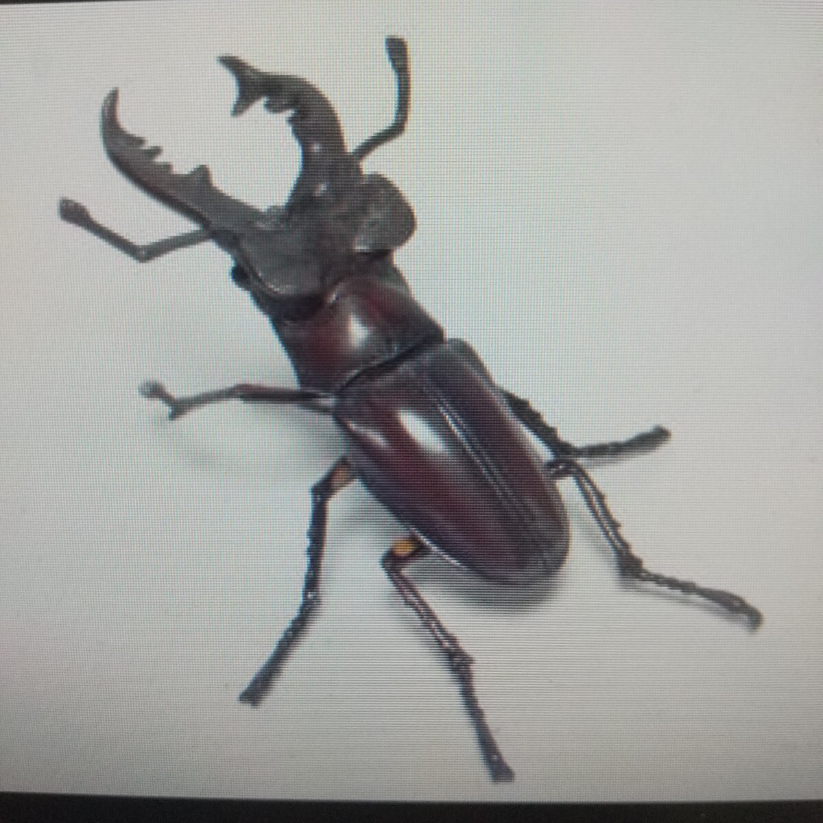 {$data['title']拍卖