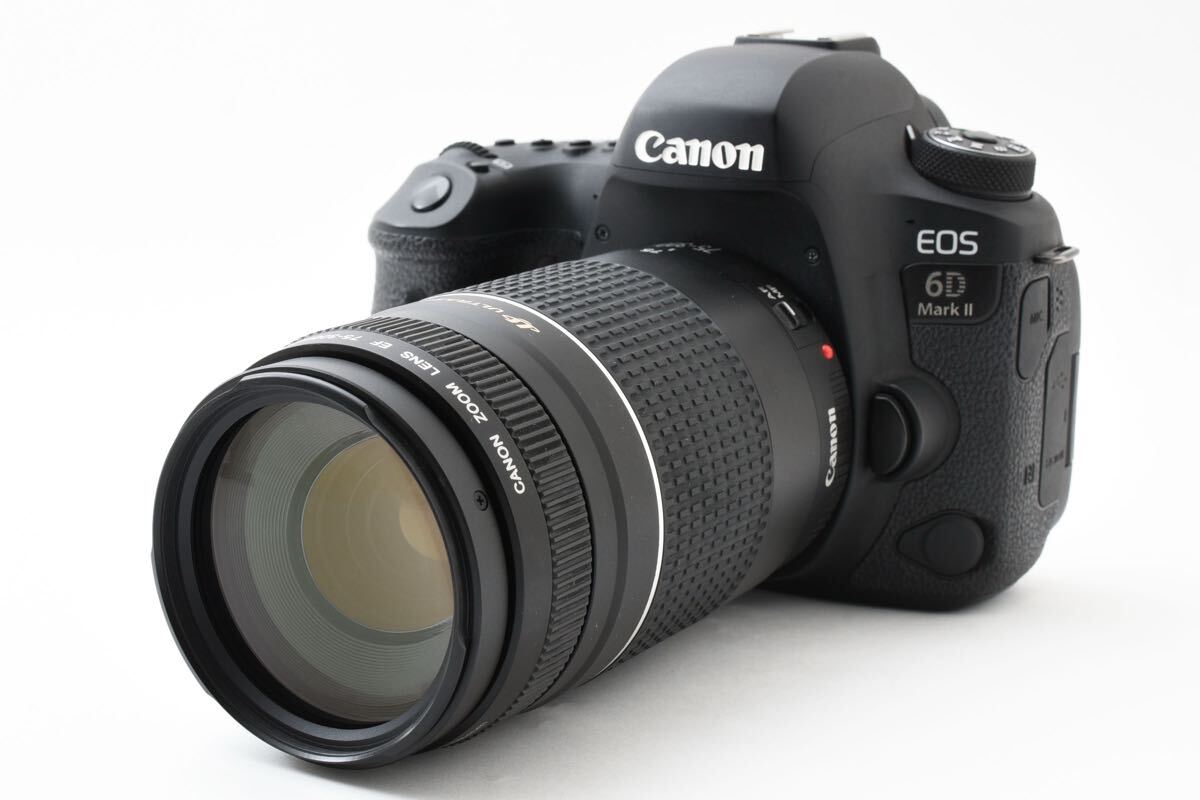 保証付き/デジタル一眼レフカメラ Canon EOS 6D Mark II望遠レンズセット/Canon EF75-300㎜ F4-5.6 III USM