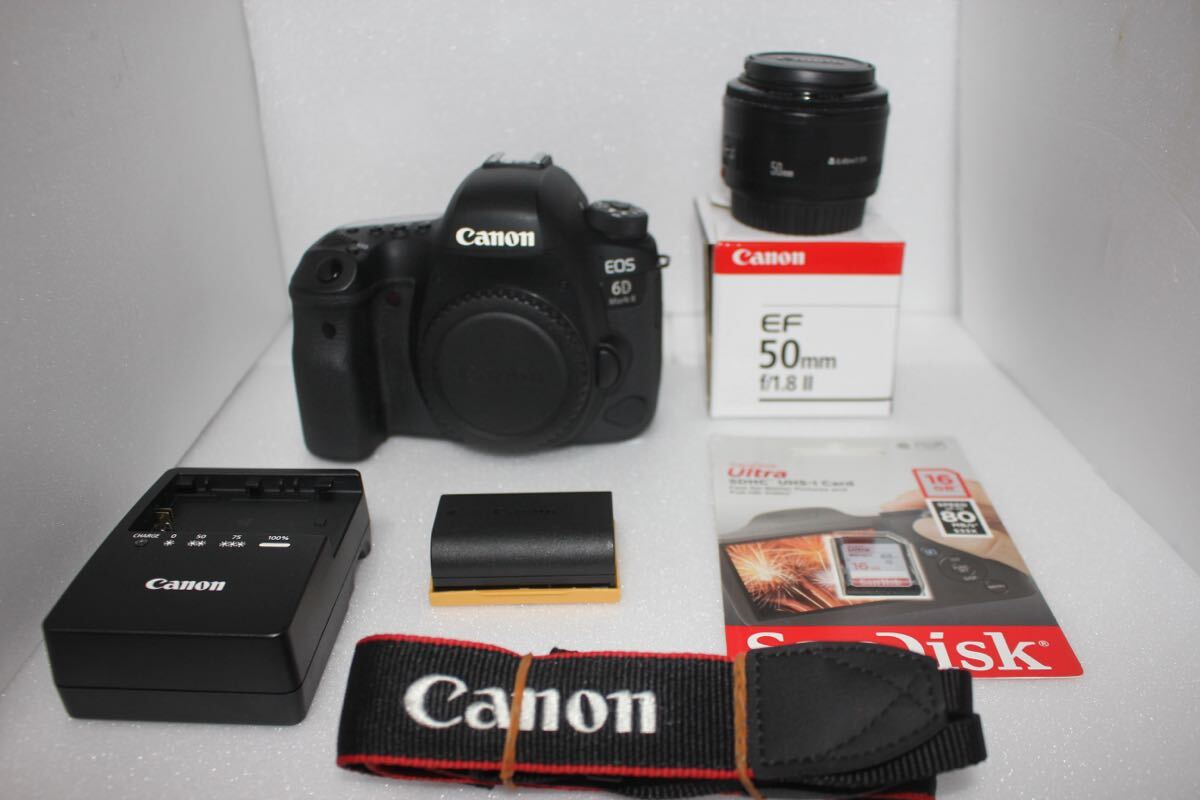 Canon EOS 6D Mark II単焦点レンズセット/Canon EF 50㎜1:1.8 II 