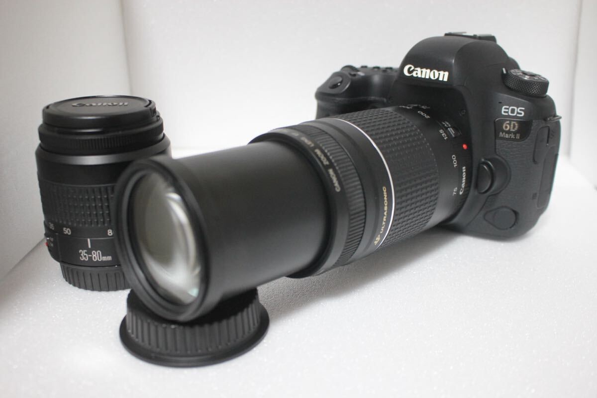 Canon EOS 6D Mark II標準&望遠ダブルレンズセット/EF 35-80㎜1:4-5.6III/EF 75-300㎜F4-5.6 II