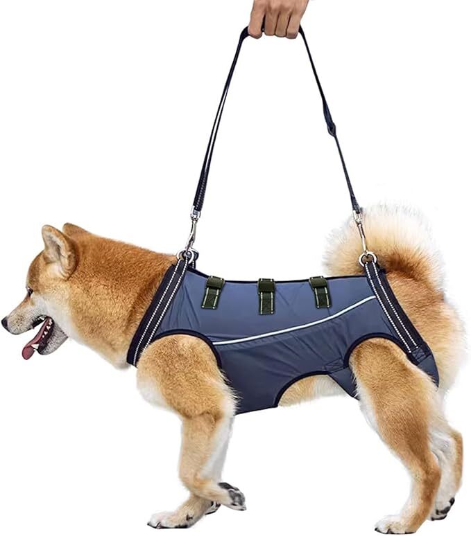 GIIPET 犬用介護ハーネス 犬 歩行補助ハーネス 通気性 サイズ調整可能 簡単脱着 老犬 けが (ネイビーブルー - 四季, L(14-20kg)) 0713
