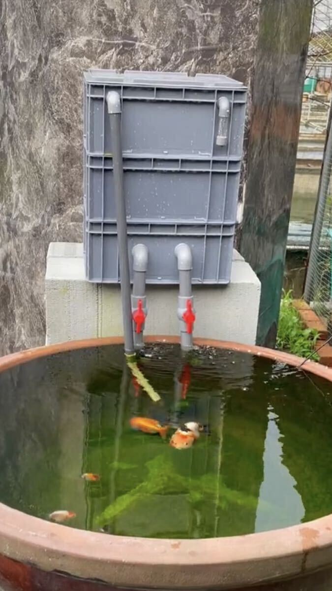 満タンろ材付き大型水槽、池専用濾過セラミックリングろ材付きセット濾過、濾過槽、フィルター 最強濾過装置濾過槽40サイズ販売、送料込み