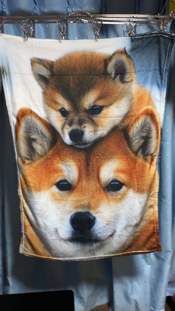 ★犬柄　フリースブランケット