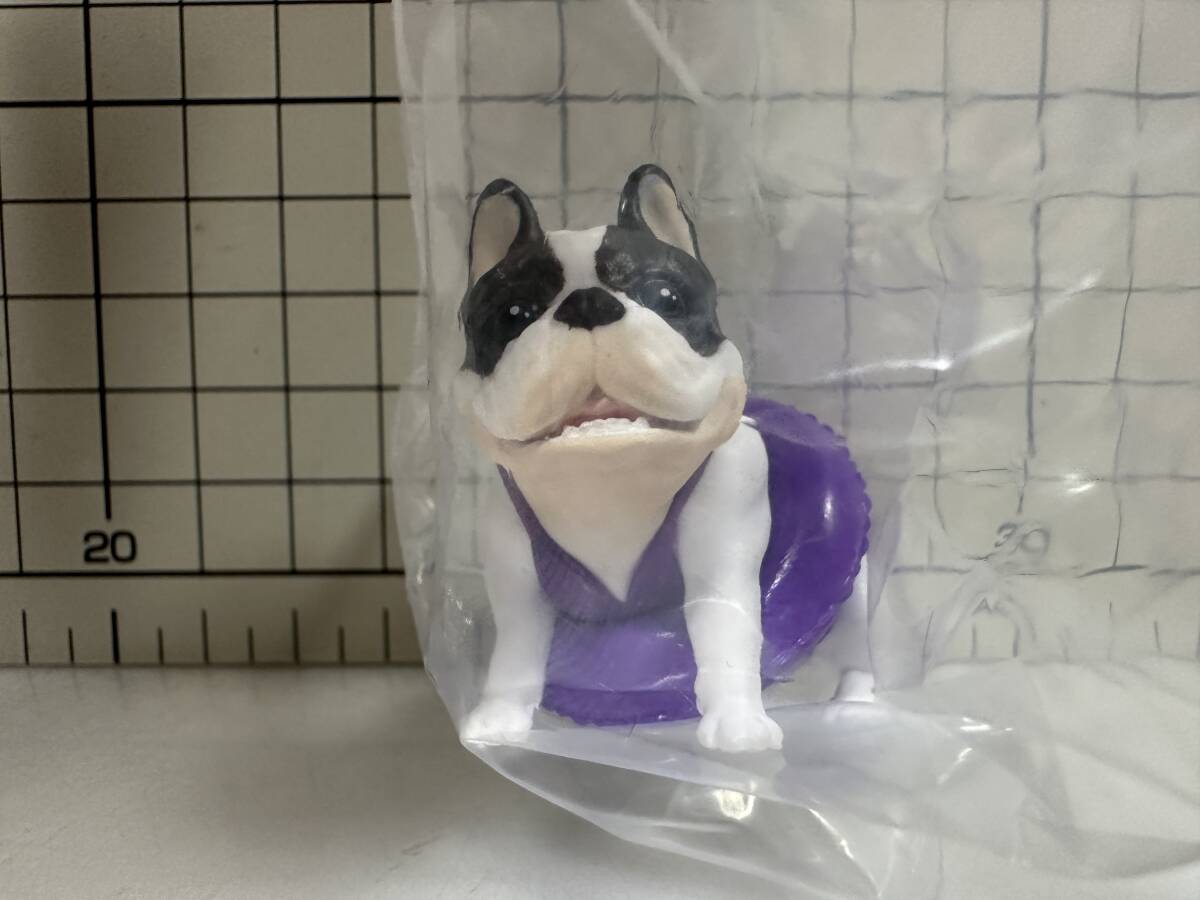 フルブレフレンズ ガチャ　犬　dog　フレンチブルドッグ　FREBULLFRIENDS　フィギュア　グッズ　水着　サマーなフレブル　ガチャ　