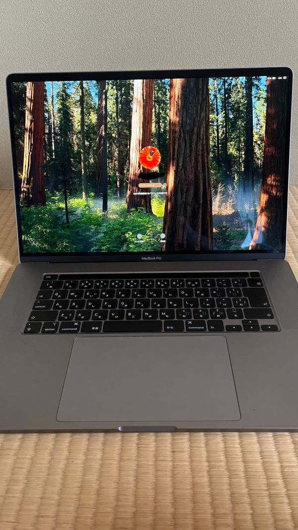 Apple MacBook Pro 2019 16インチ 2.3GHz i9 メモリ16GB SSD1TB ノートパソコン 　ノートPC テレワーク　動画編集