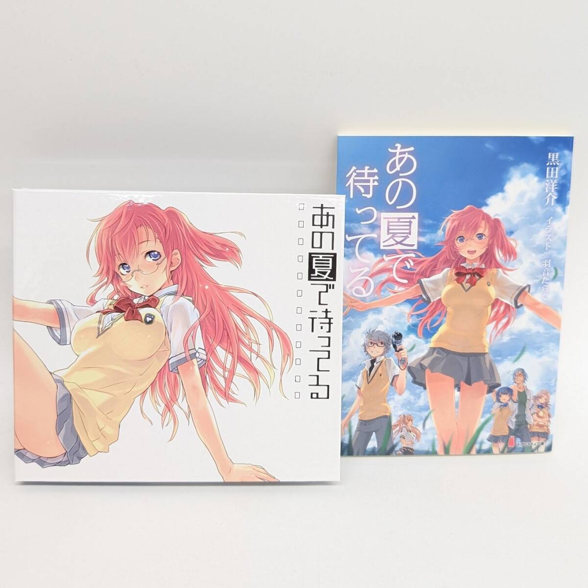 【美品】 あの夏で待ってる 『なつまち』 DVD1枚+CD1枚組 ラノベ付き