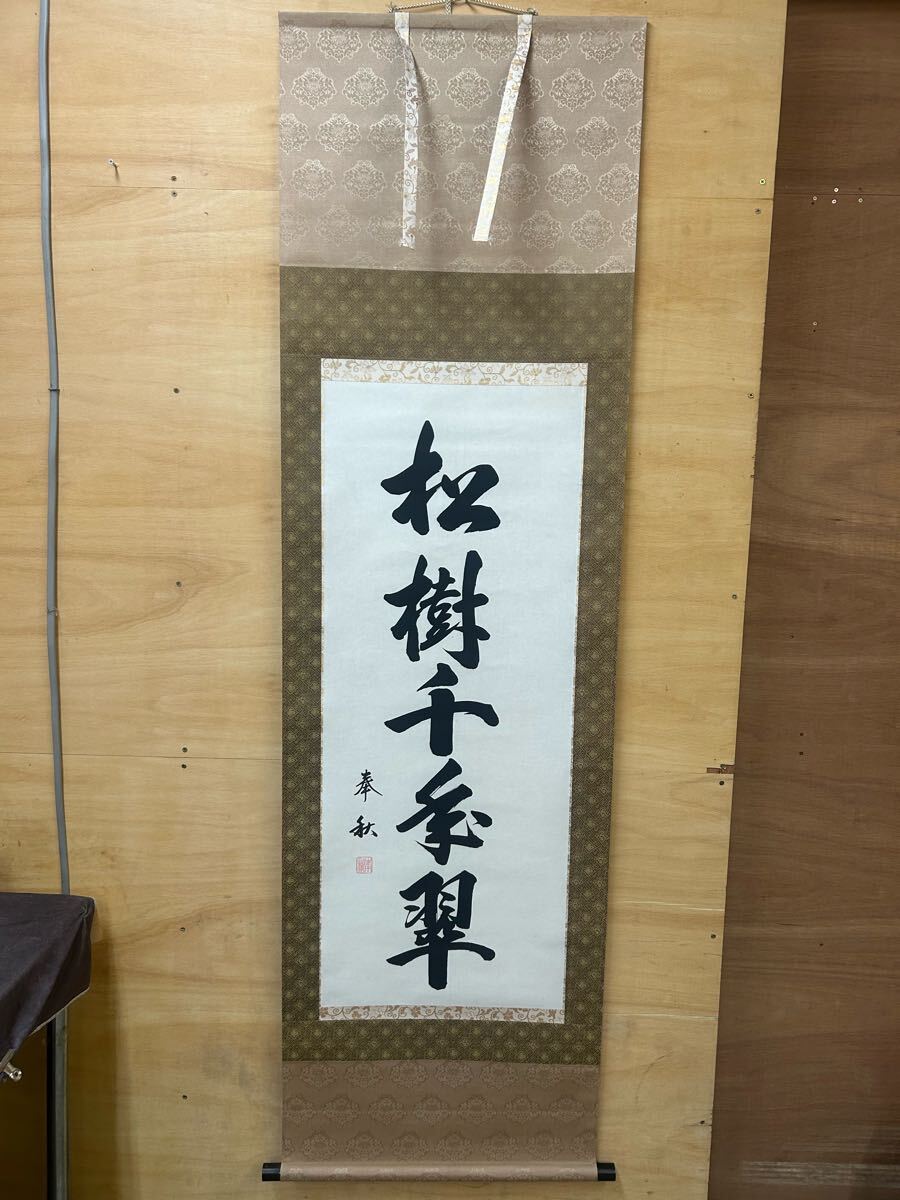 松樹千年翠 掛軸 掛け軸 一行書 模写 奉秋 禅語 長寿 茶道具 床間 飾り 縁起物 桐箱入 共箱入