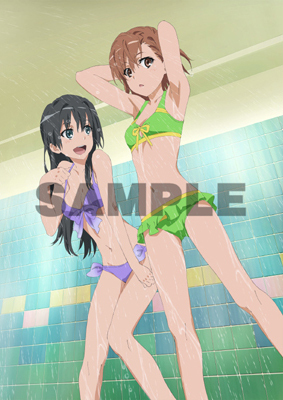 未使用 とある科学の超電磁砲S ソフマップ BD/DVD全巻特典 御坂美琴 ＆ 佐天涙子 タペストリー #ADグッズ2024
