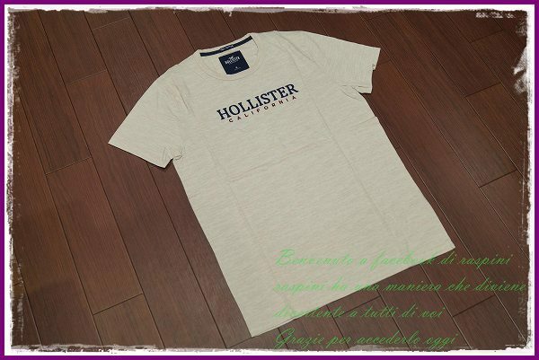 ◆◇Hollister 刺繍 ロゴ Tシャツ 半袖/L/ヘザータン/メンズ ホリスター アバクロ カットソー a&f◇◆