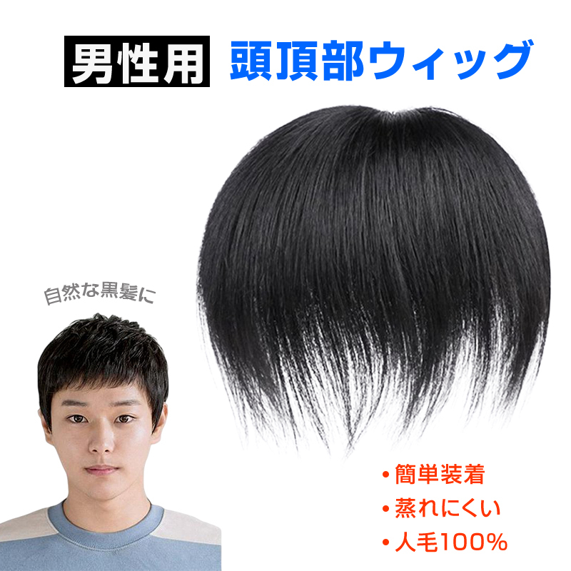 ウィッグ メンズ 男性 ヘアピース 人毛100％ 頭頂部 部分ウィッグ トップカバー 薄毛 白髪隠し 増毛 ボリュームアップ 自然 簡単装着 