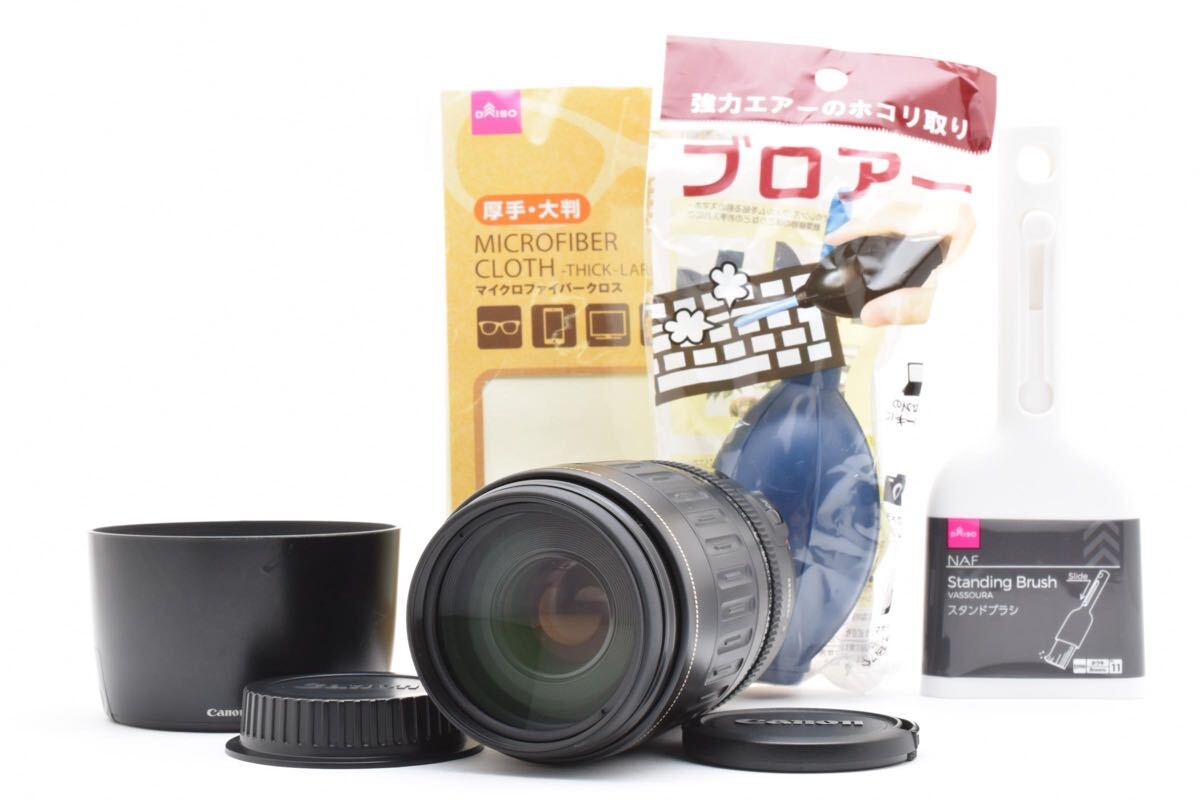 キャノン迫力の300mm Canon EF 100-300mm F 4.5-5.6 ZOOM LENS ULTRASONIC