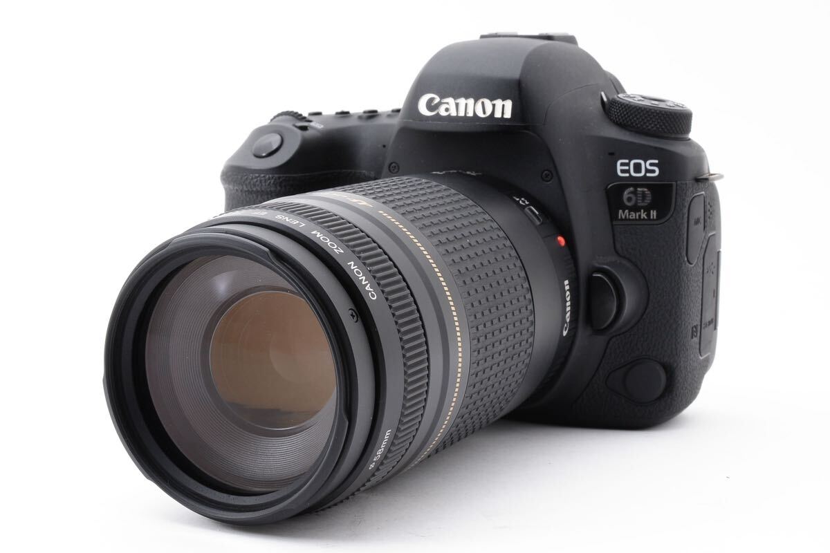 保証付き/キヤノン デジタル一眼レフカメラ Canon EOS 6D Mark II 望遠レンズセットCanon EF 75-300㎜1:4-5.6II