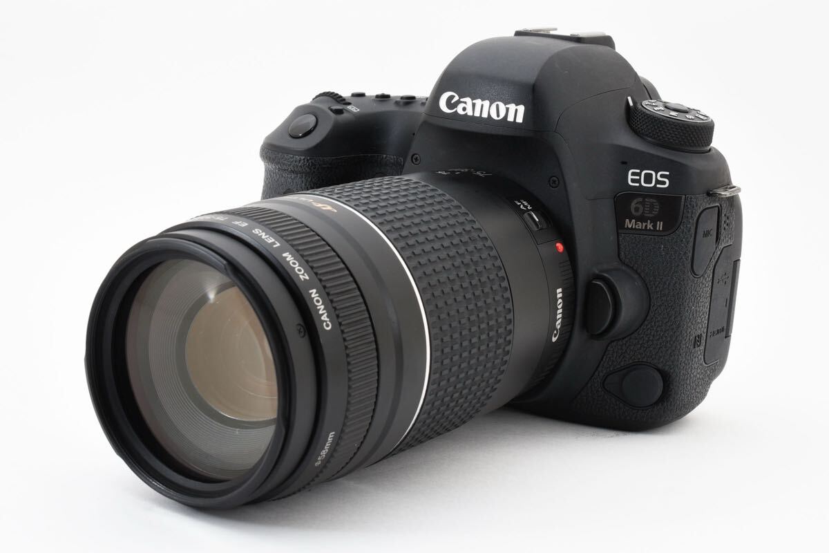 保証付き/キヤノン デジタル一眼レフカメラ Canon EOS 6D Mark II 望遠レンズセットCanon EF 75-300㎜1:4-5.6III USM
