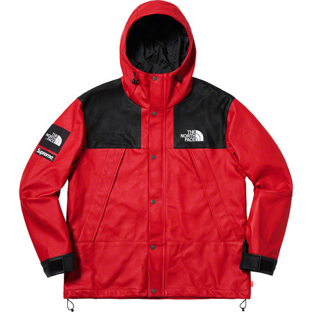 supreme シュプリーム　×　 THE NORTH FACE　ノースフェイス　18AW Leather Mountain Parka　レザー　マウンテンパーカー　XL