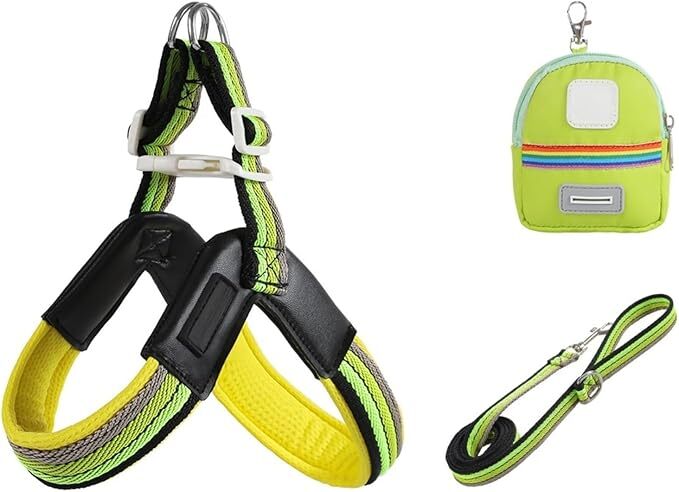 GIIPET 犬 ハーネス リード セット 小型犬 中型犬 用 彩虹デザイン 胴輪 V字型 通気性 メッシュ (ブラックグリーン, L（12.5-19kg）) 0823