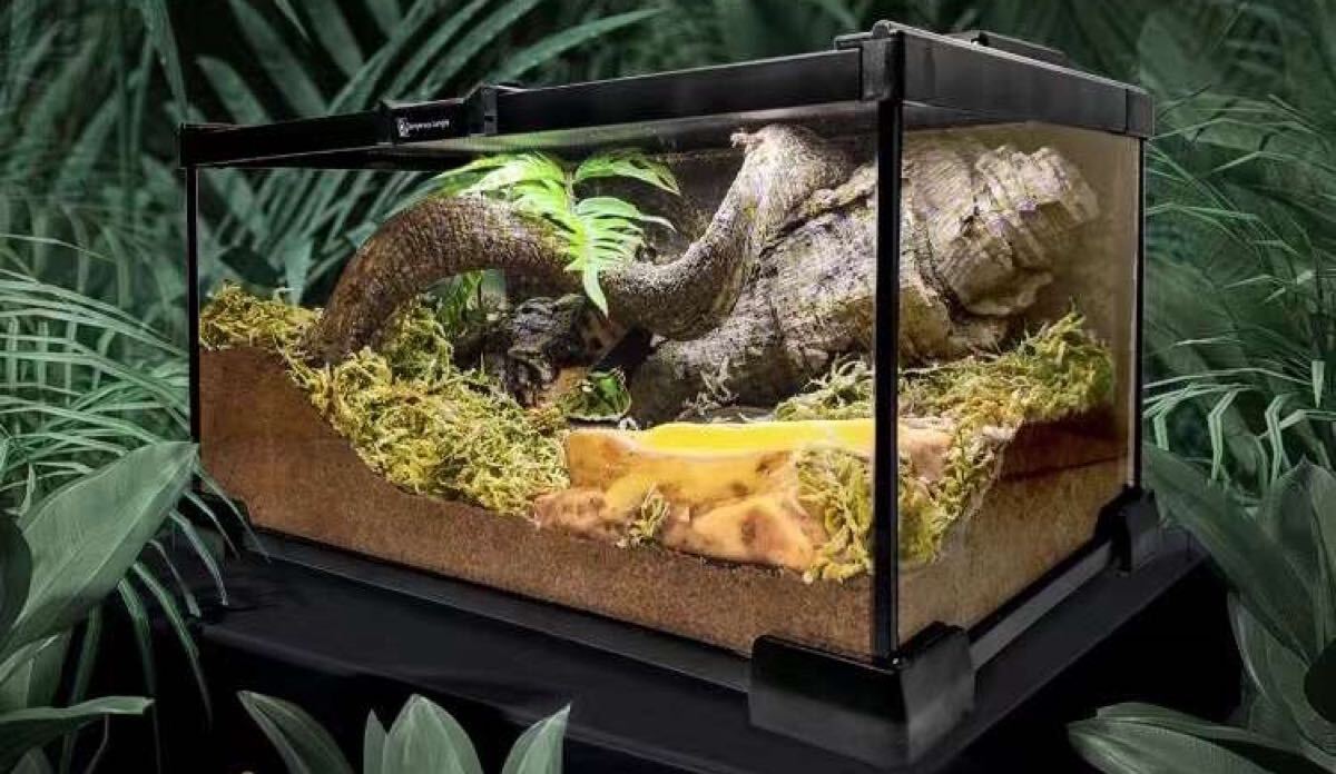 爬虫類両生類飼育ケージ、オリジナル自社製ガラス飼育ケージ30x20x30CM、即時発送送料込み カエル　トカゲ　カメ　蛇　リス　ハムスター