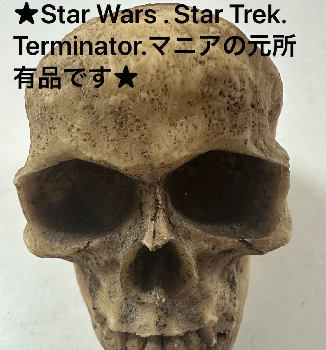 毒 ドクロ 貯金箱 ★ターミネーター、スタートレック、スターウォーズ、エイリアン マニアの方が元所有品です★ 置物 オブジェ コレクター