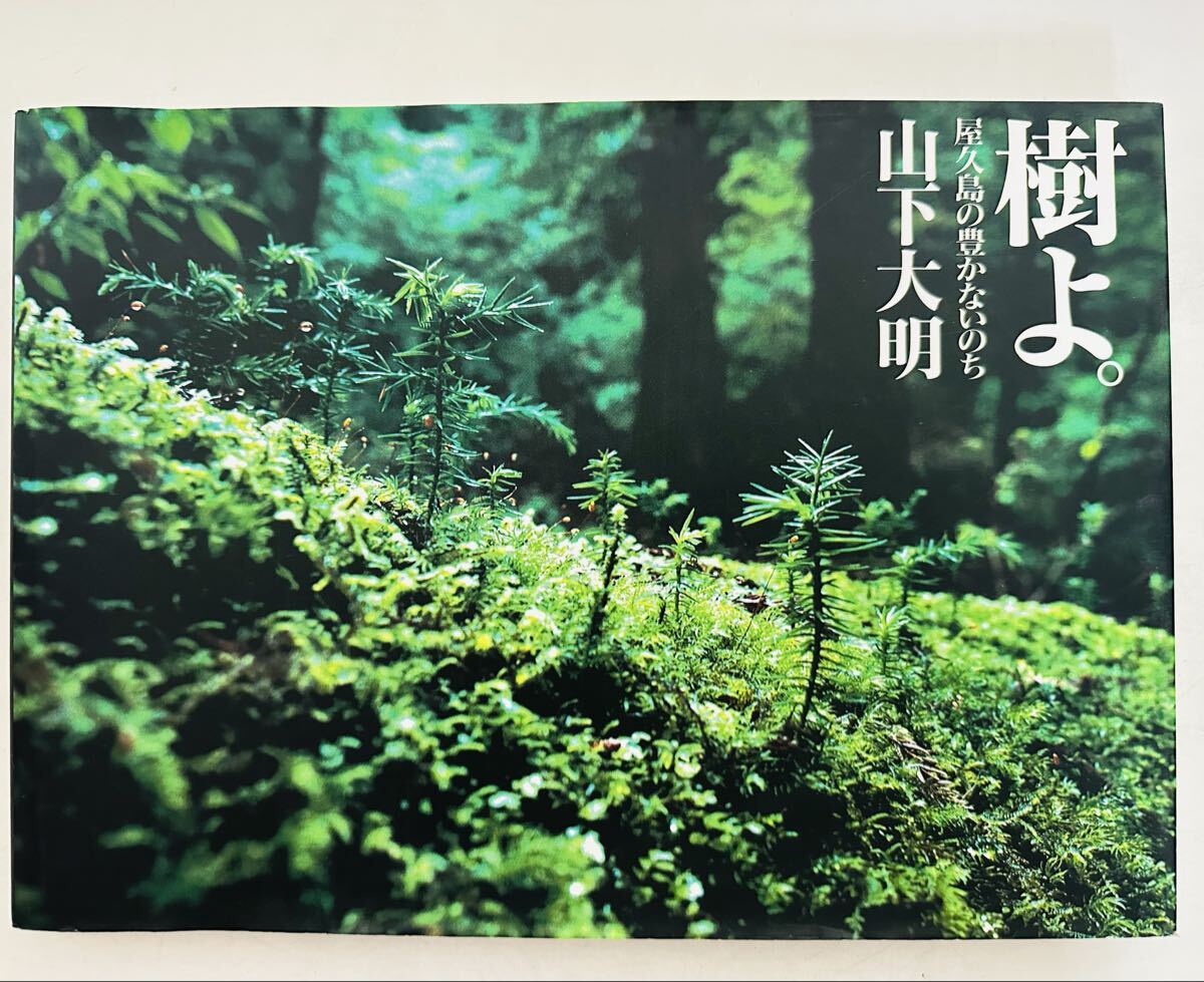 「 樹よ。」 屋久島の豊かないのち／山下大明