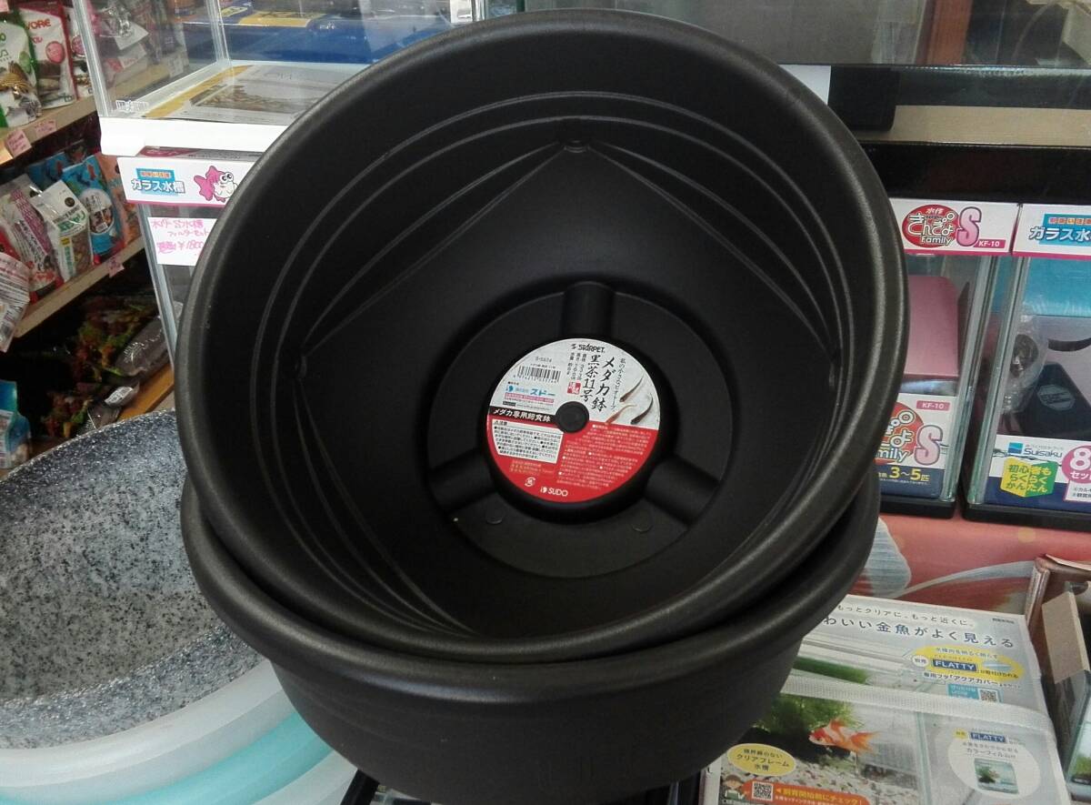 OASISAQUA在庫ラスト豪華おまけ付きSDめだか鉢11号黒茶二個セット