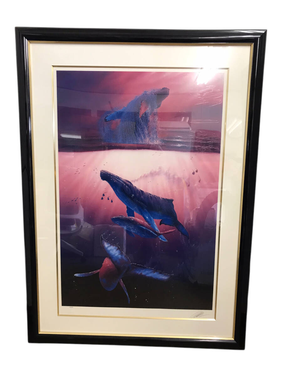 C.R. Lassen　クリスチャン・ラッセン　マジェスティック　ボイジャー