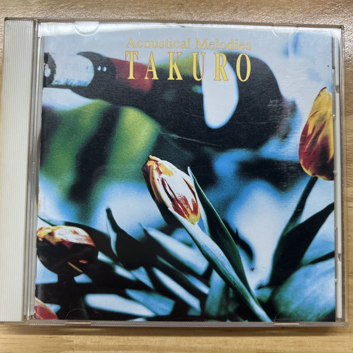 Acoustical MelodiesTAKURO 管理y367