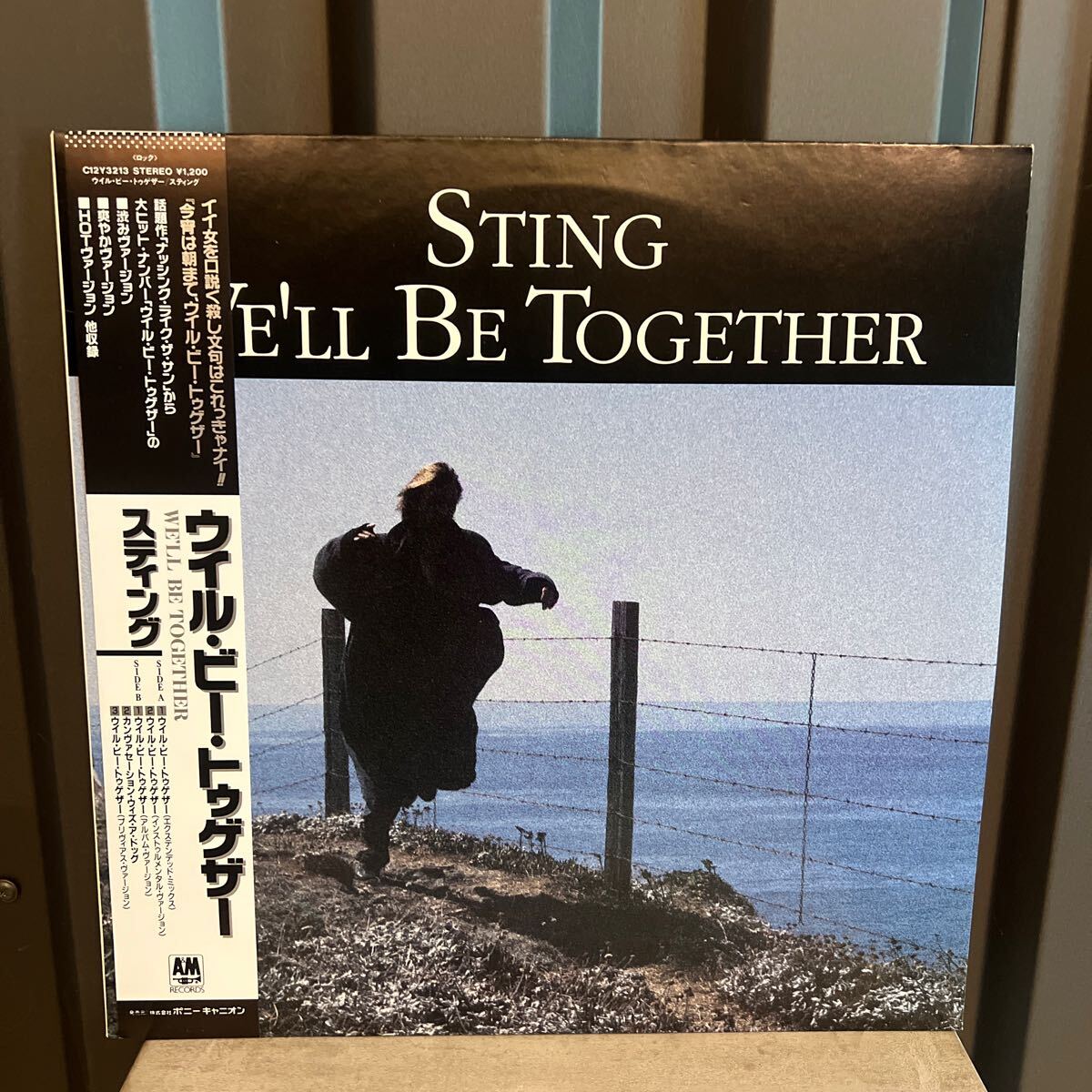 【アナログ盤】国内盤/帯付/12インチ/Sting /We'll Be Together/スティング/ウイル・ビー・トゥゲザー/The Police/C12Y3213／ポリス