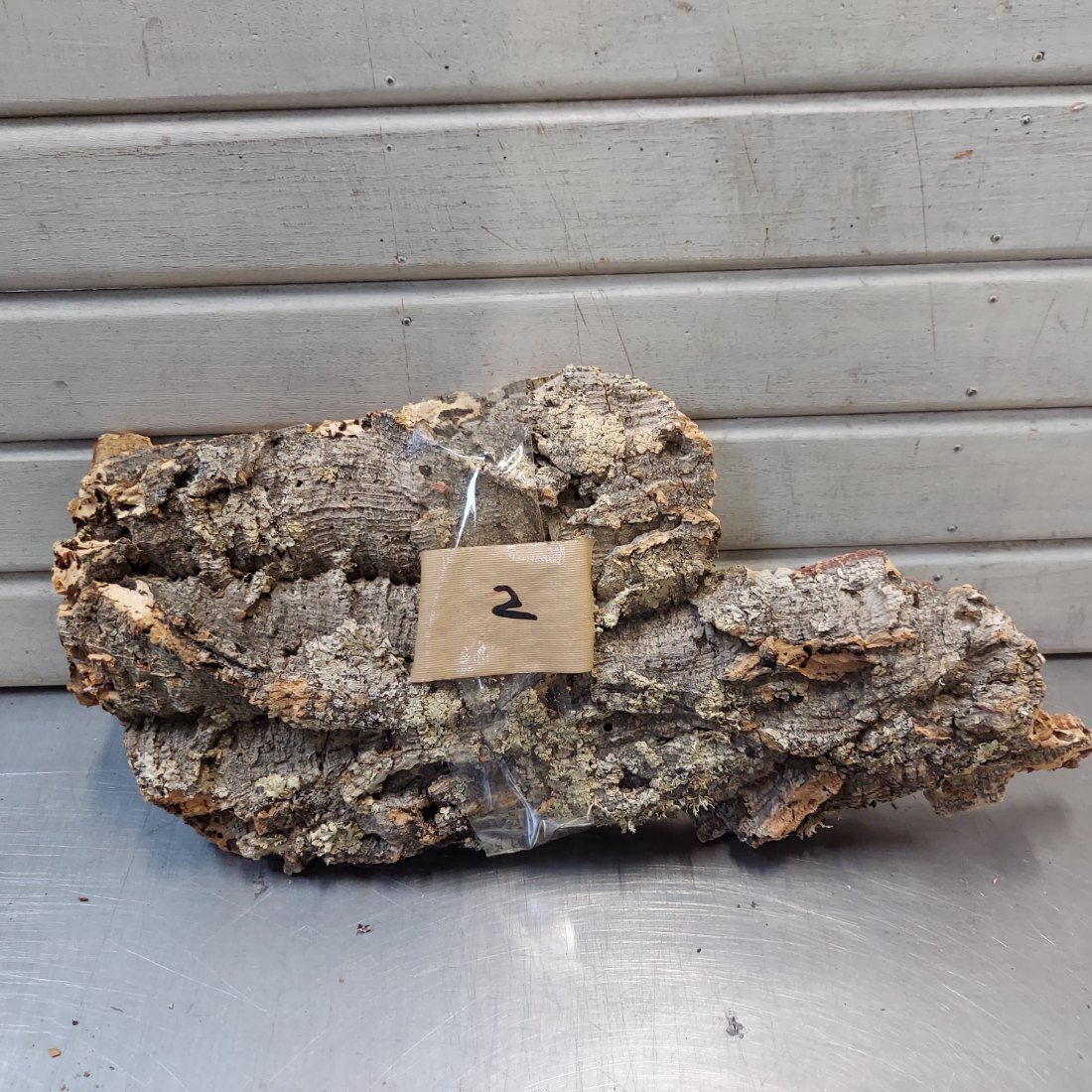 送料無料！即決 ♪現品　バージンコルク樹皮　約ｗ36（27）ｘｄ19ｘ厚み2ｃｍ　②