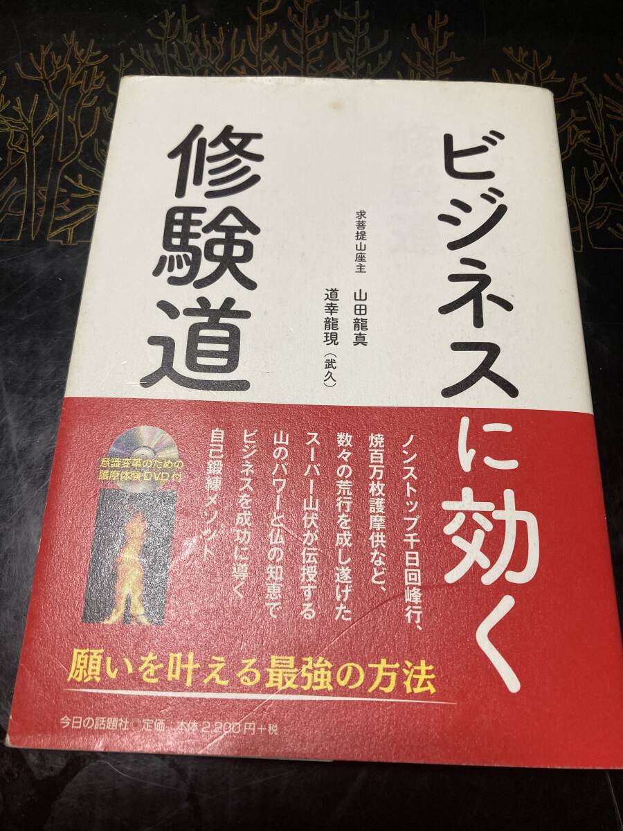 ビジネスに聞く　修験道　　山田龍真